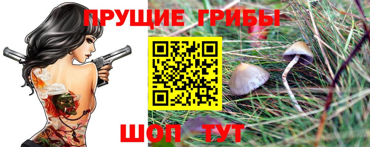Сегежа  Галлюциногенные грибы Cubensis  Вход с VPN 